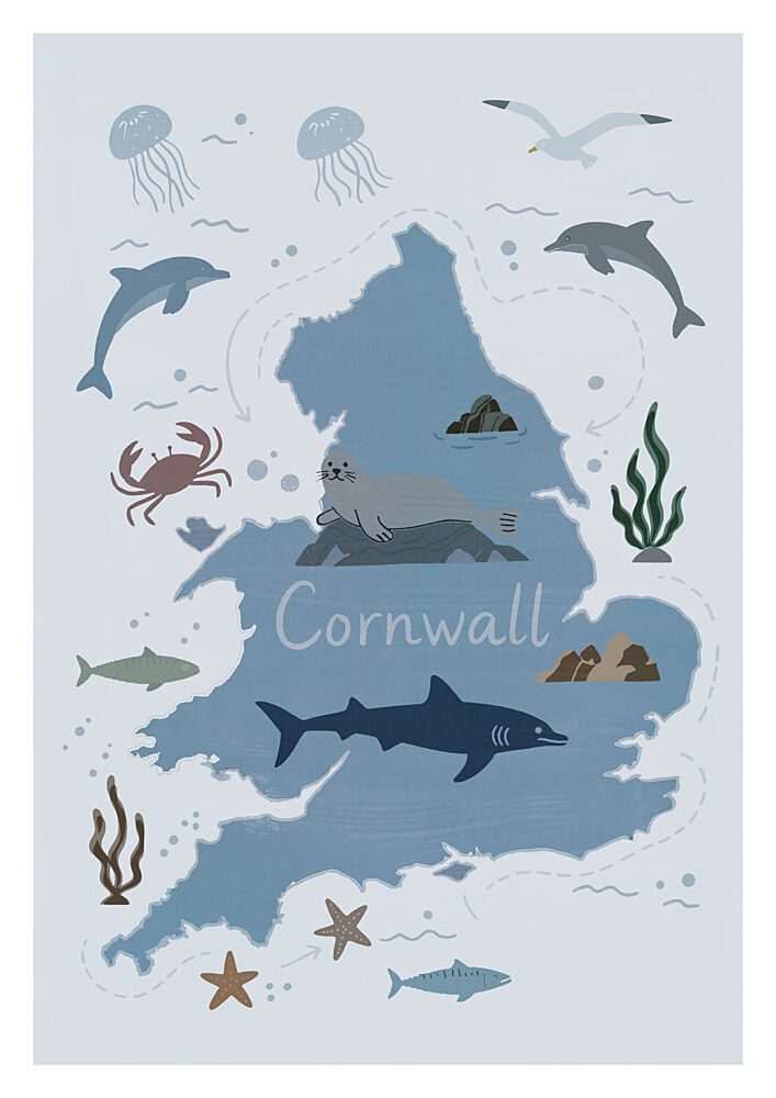 Cornwall Sea Life Map art print by Casa Cartissi for $57.95 CAD