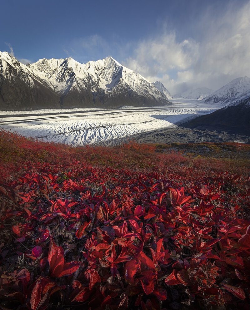 Red Leaves Glacier Vista art print by Raimondo Restelli for $57.95 CAD
