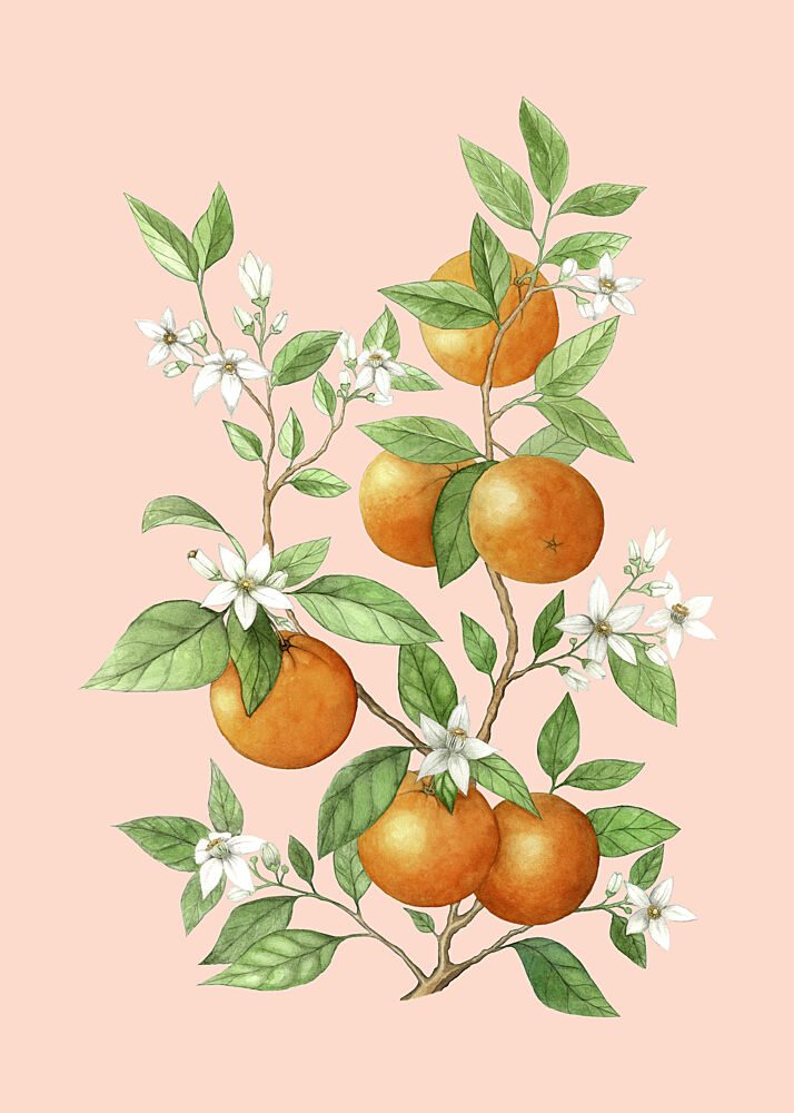 Oranges and Blooms art print by Maja Kjaer for $57.95 CAD