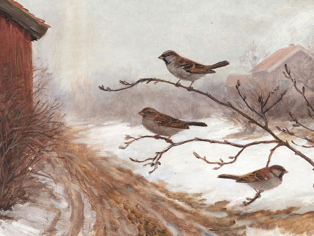 Winter Barn Sparrows art print by Jolly and Dash for $57.95 CAD