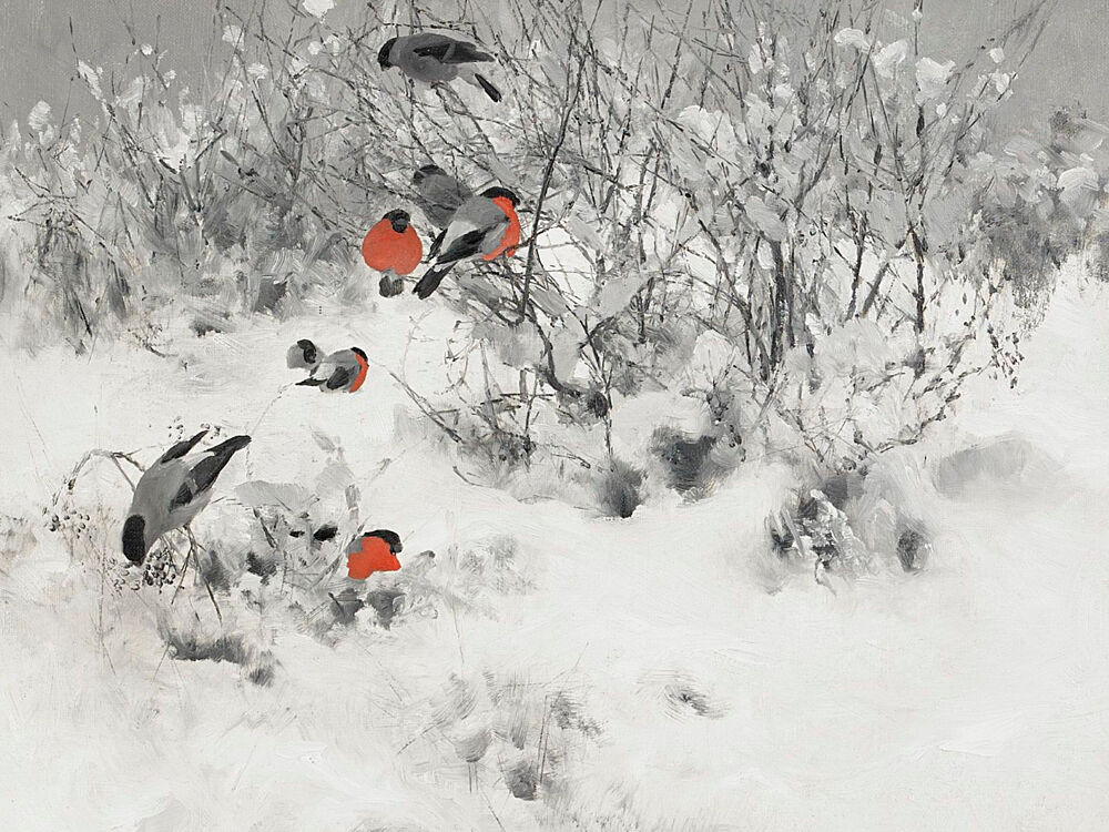 Red Bullfinches in Snow art print by Jolly and Dash for $57.95 CAD