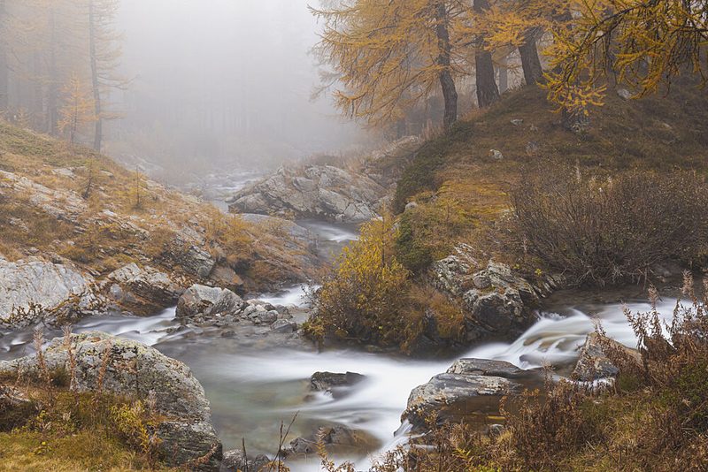 Misty Autumn Stream art print by Adrian Tudose for $57.95 CAD