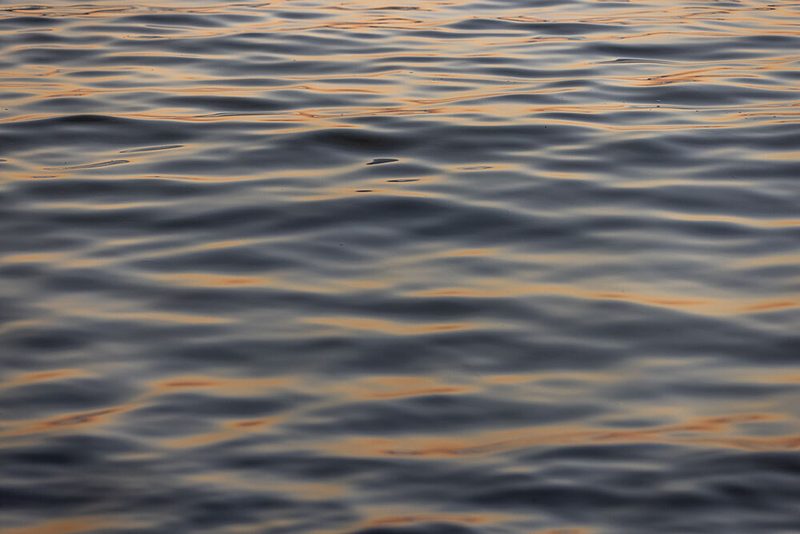 Golden Water art print by Mareike Bohmer for $57.95 CAD
