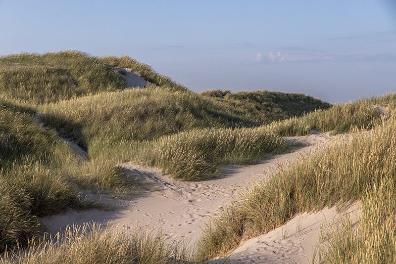 Dune Landscape 1 art print by Mareike Bohmer for $57.95 CAD