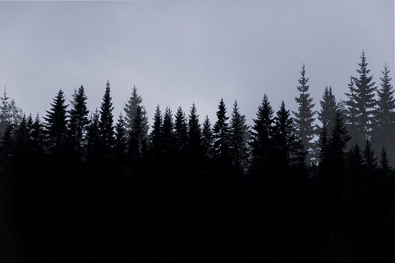 Mystical Forest Scene 3 art print by Mareike Bohmer for $57.95 CAD