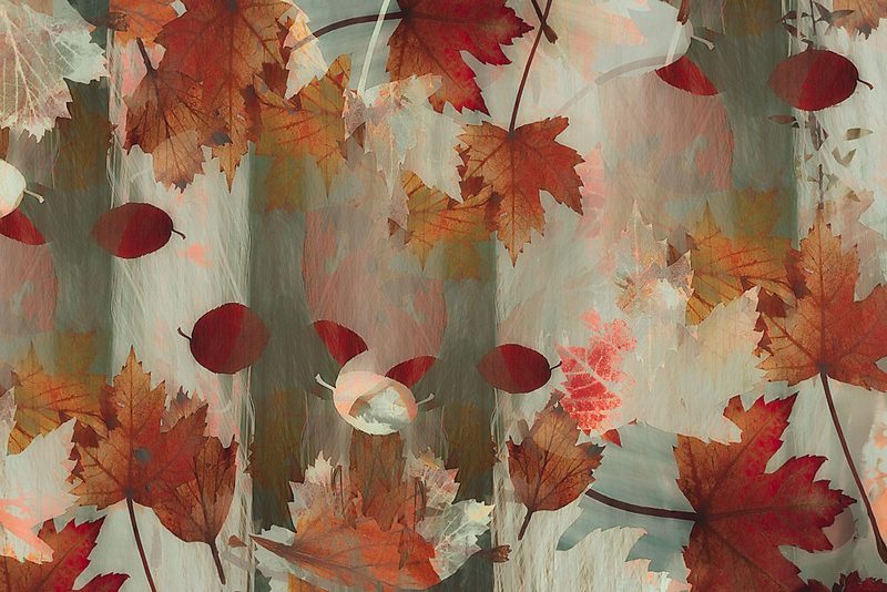 Welcome Autumn art print by Nel Talen for $57.95 CAD