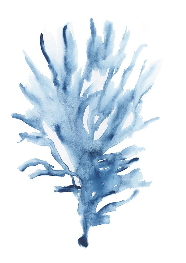 Abstract Blue Coral art print by Cartissi for $57.95 CAD