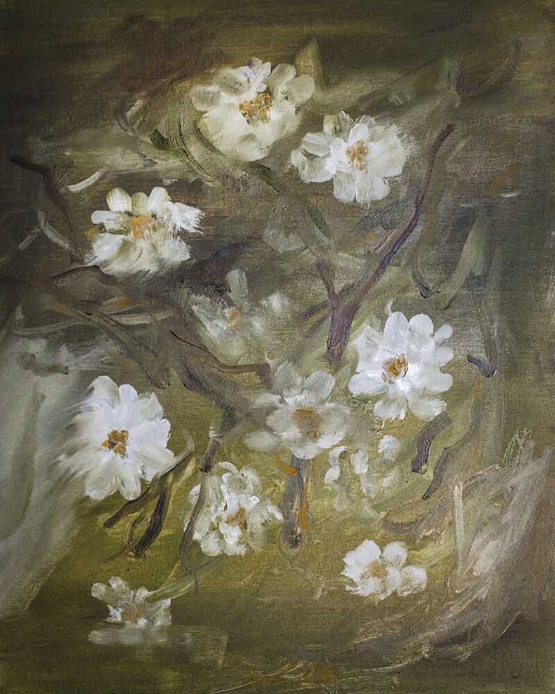 Soft White Blossoms art print by Emily Tingey for $57.95 CAD
