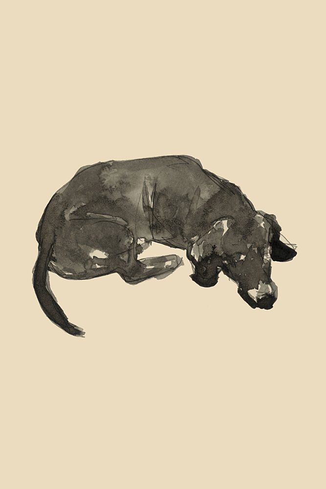 Sleeping Black Dog art print by Cartissi for $57.95 CAD