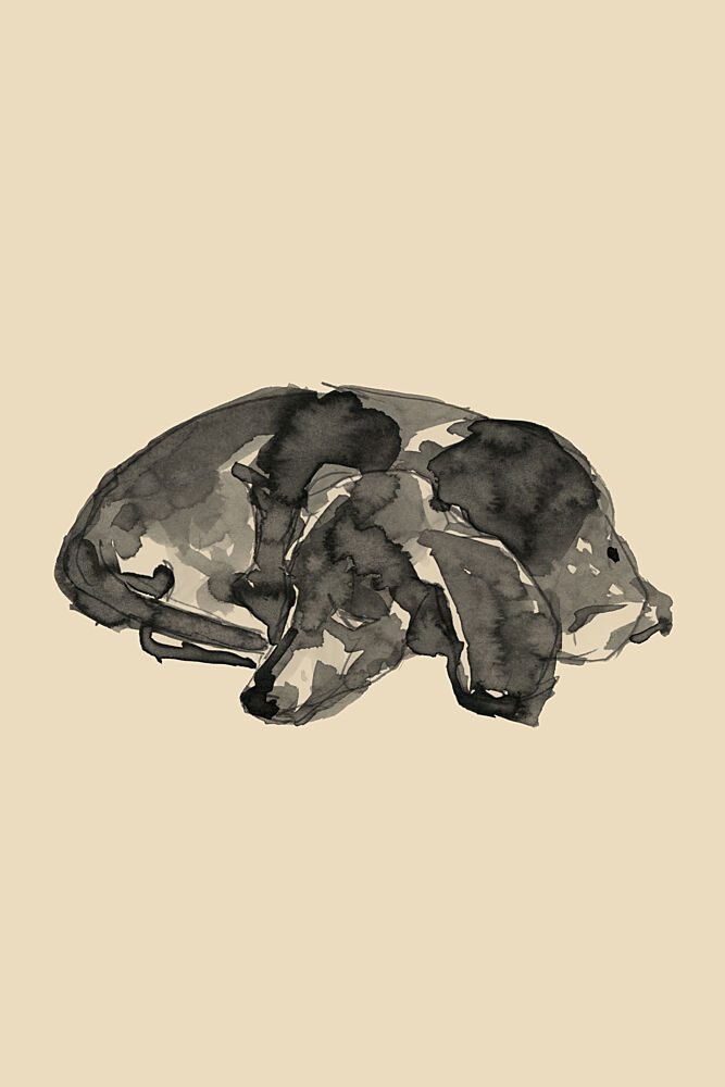 Sweet Sleeping Puppy art print by Cartissi for $57.95 CAD