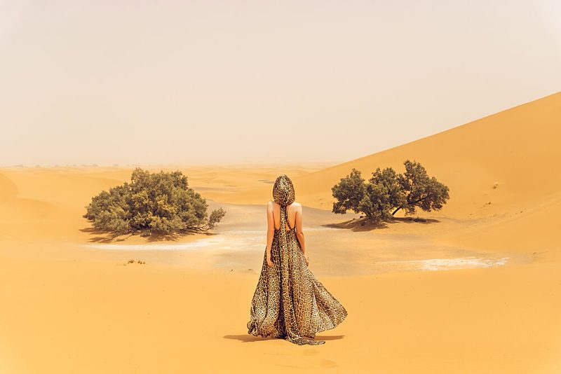 Elegant Journey in Desert art print by Ruslan Bolgov for $57.95 CAD