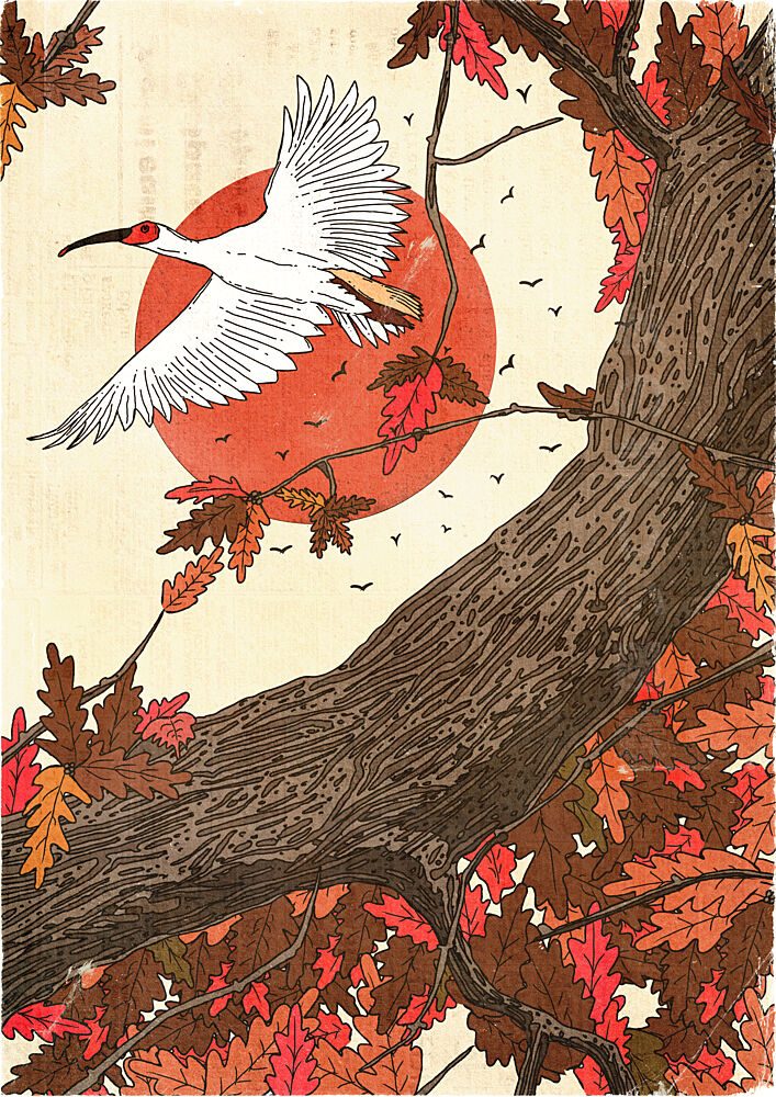 Crimson Sun Autumn Flight art print by Nicholas for $57.95 CAD