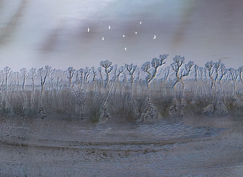 Deep Forest on Mud Beach art print by Songlin Xu for $57.95 CAD