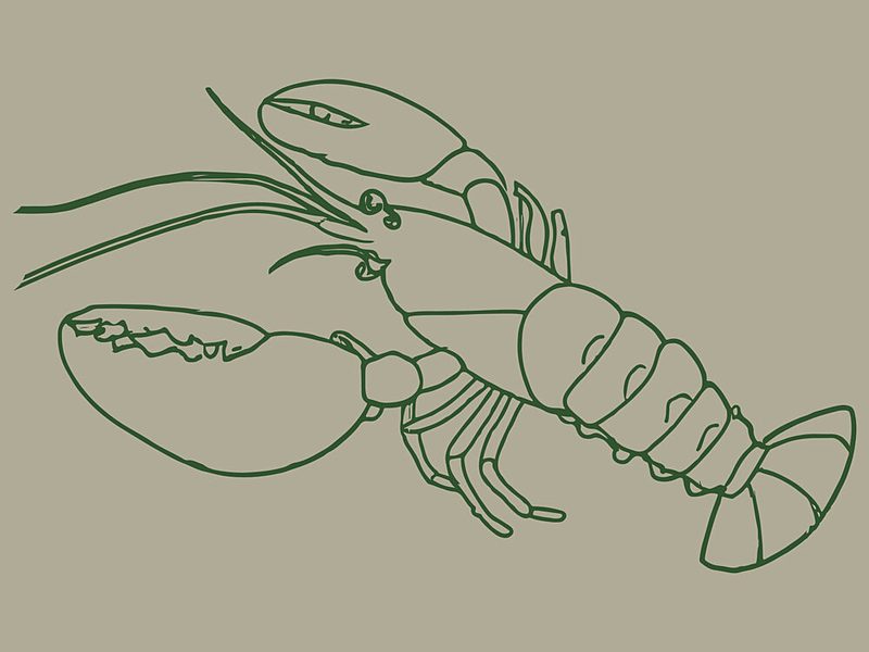 Elegant Lobster Sketch art print by Treechild for $57.95 CAD