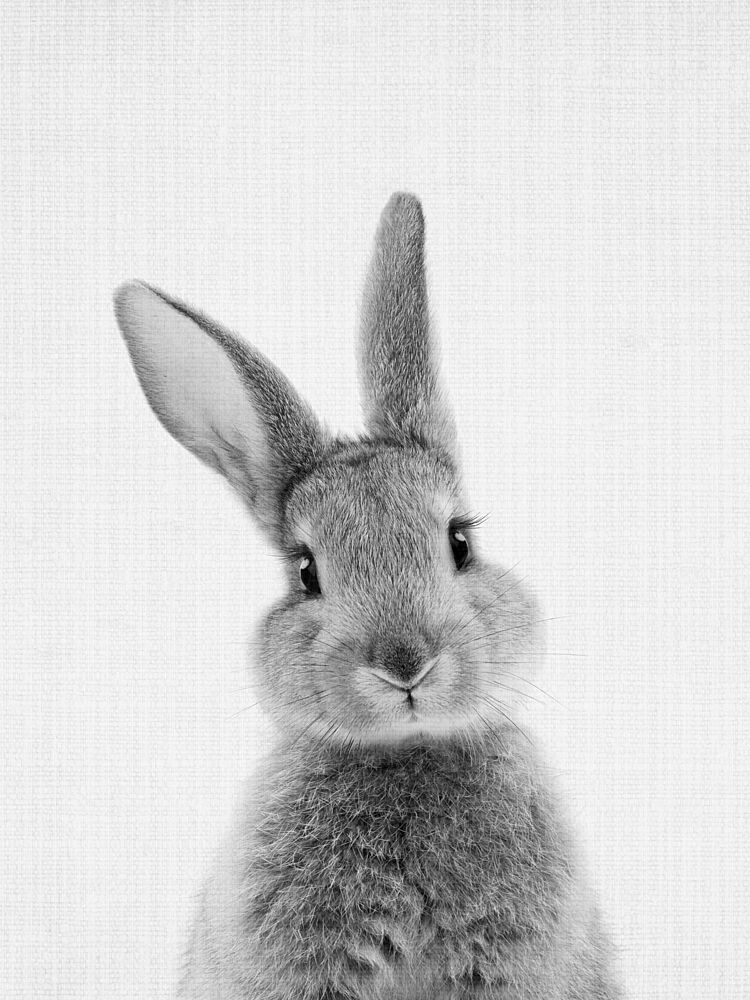Curious Bunny Gaze art print by Lila and Lola for $57.95 CAD
