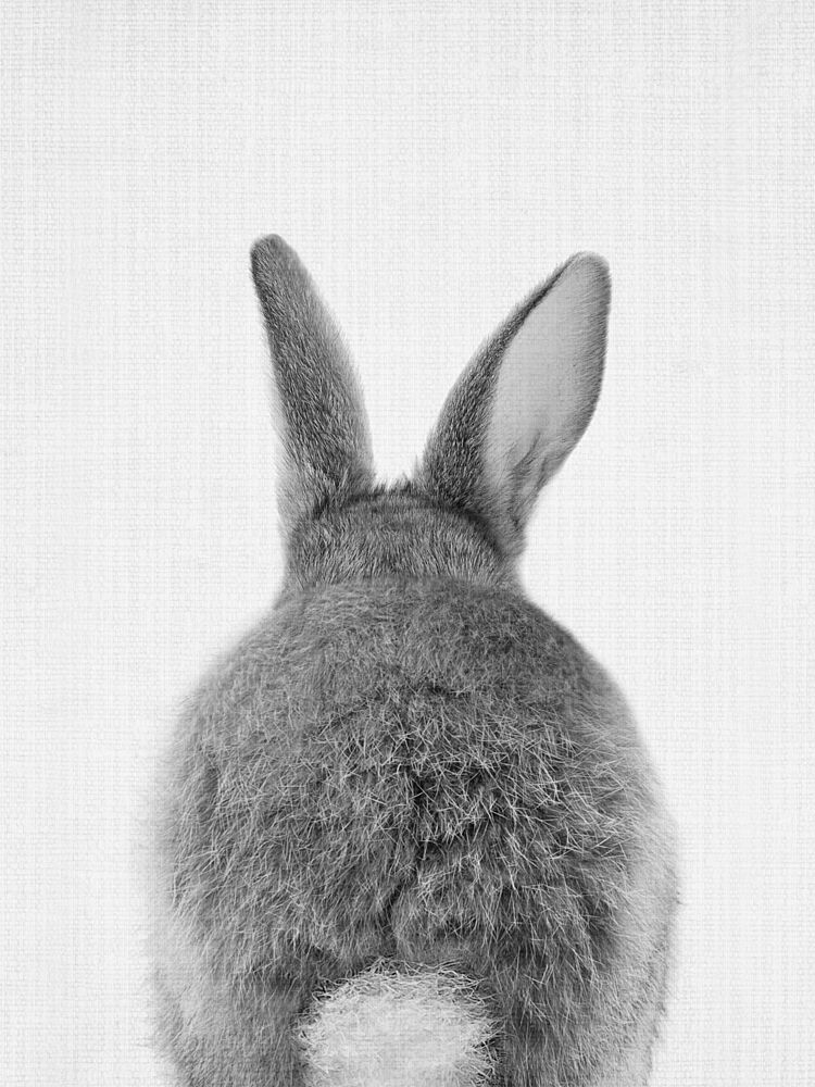 Fluffy Bunny Ears and Tail art print by Lila and Lola for $57.95 CAD