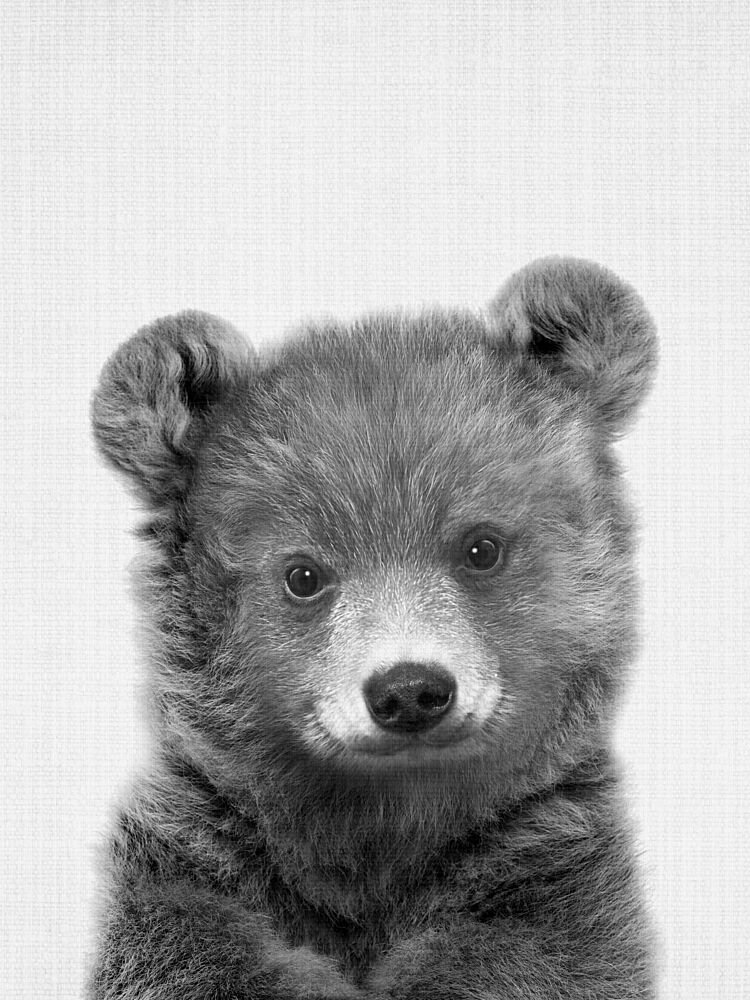 Adorable Baby Bear art print by Lila and Lola for $57.95 CAD