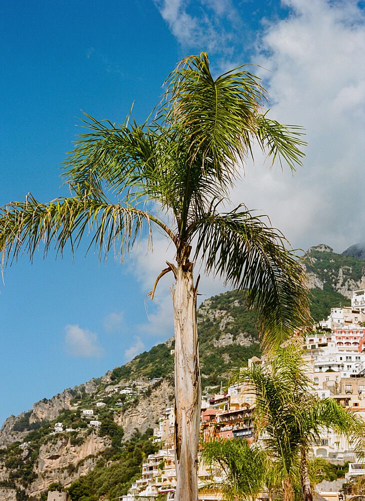 Palm Tree Coastal Town art print by Bethany Young for $57.95 CAD