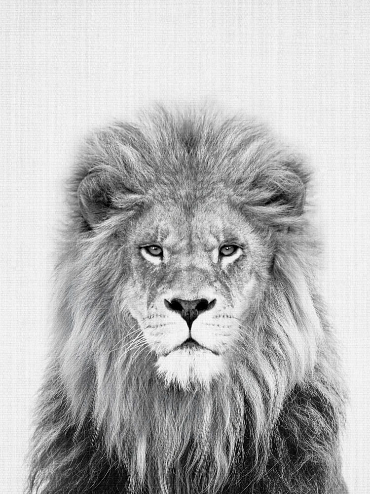 Majestic Lion Portrait art print by Lila and Lola for $57.95 CAD