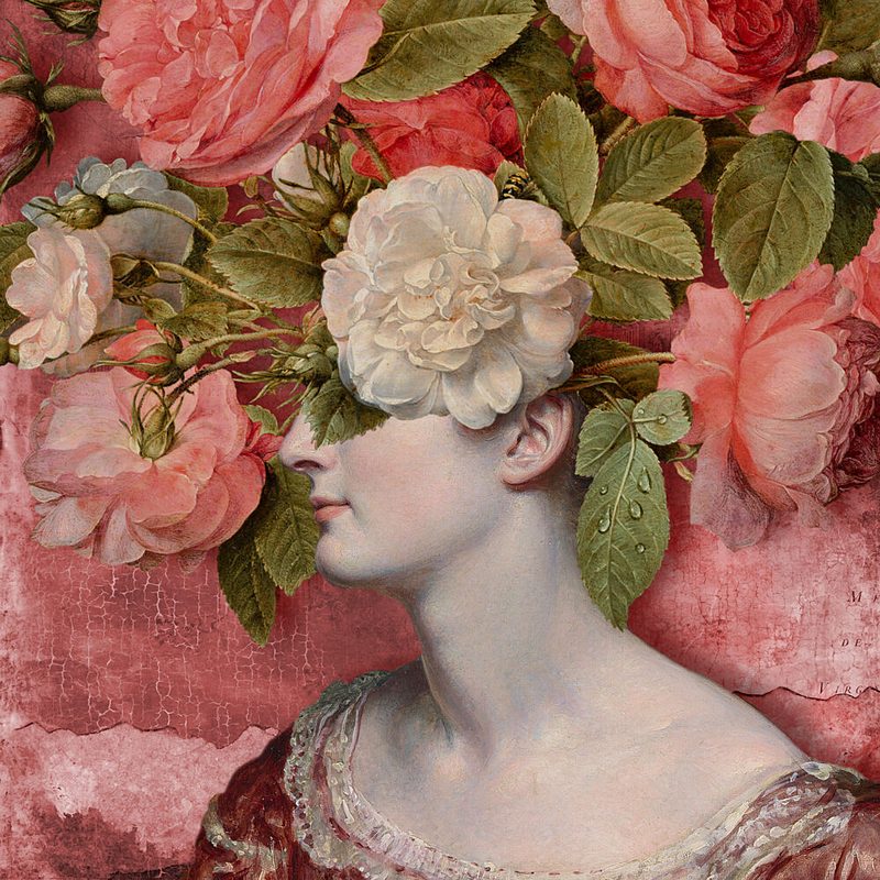 Veiled in Roses art print by Marja van den Hurk for $57.95 CAD
