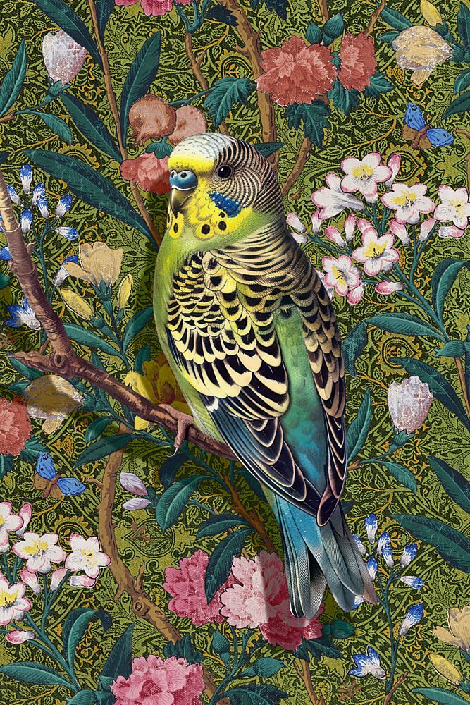 Vibrant Budgerigar Floral art print by Marja van den Hurk for $57.95 CAD