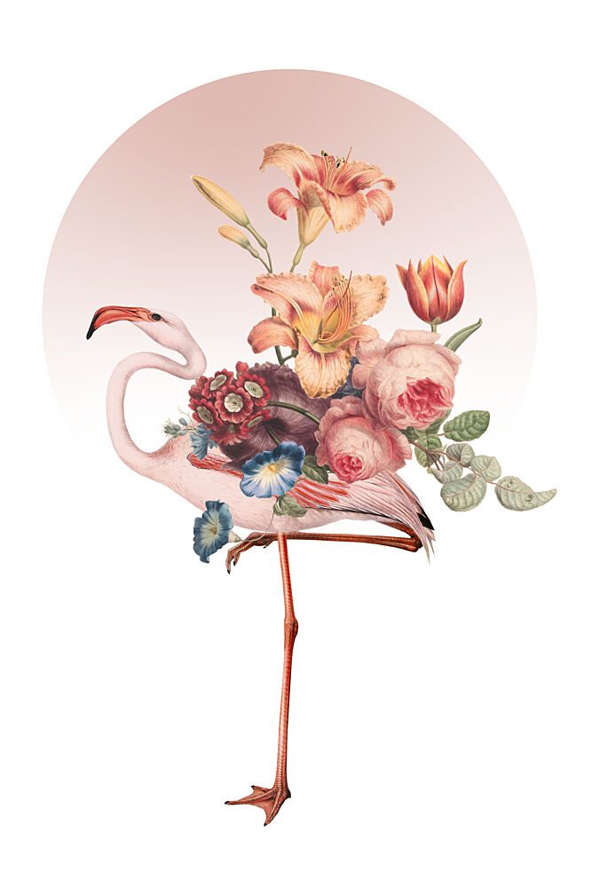Whimsical Flamingo Bloom art print by Marja van den Hurk for $57.95 CAD