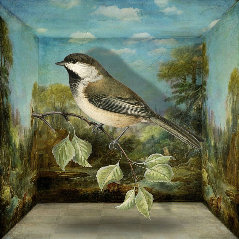 Chickadee in Painted Landscape art print by Marja van den Hurk for $57.95 CAD