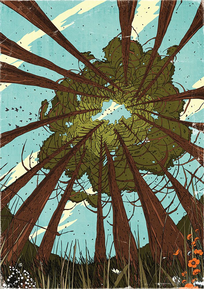 Forest Canopy View art print by Nicholas for $57.95 CAD
