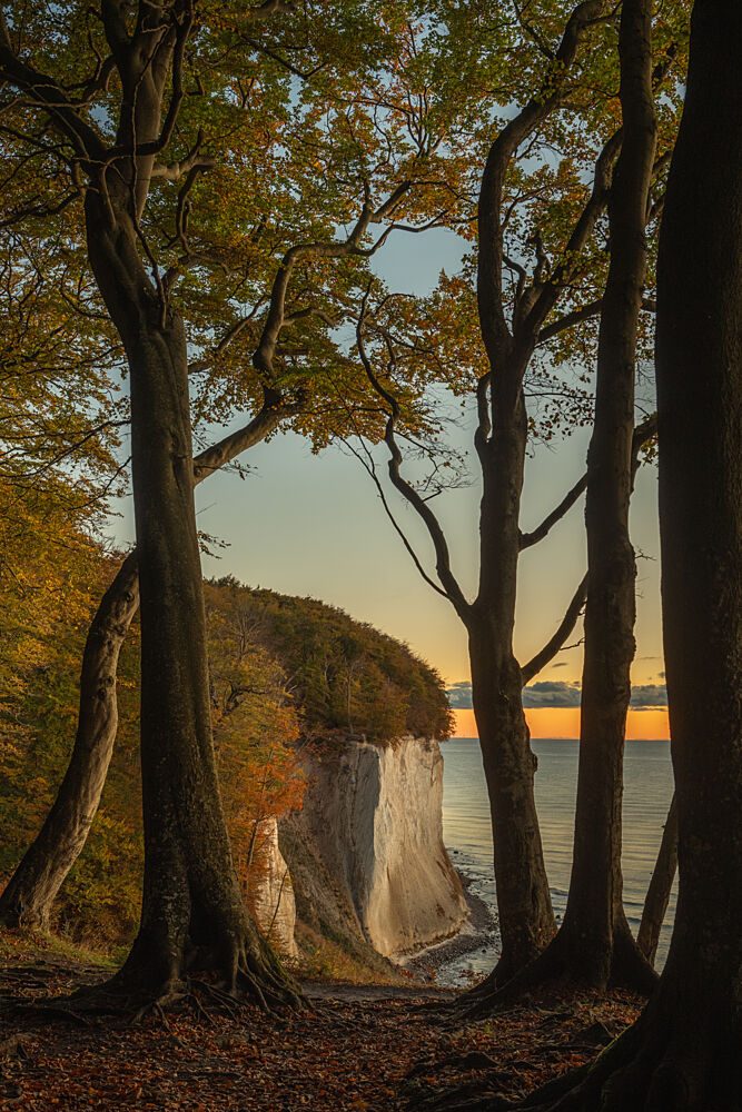 Golden Autumn Cliff View art print by Ulrike Eisenmann for $57.95 CAD