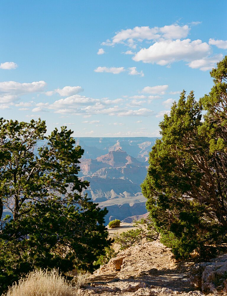 Grand Canyon Shadows X on Film art print by Bethany Young for $57.95 CAD