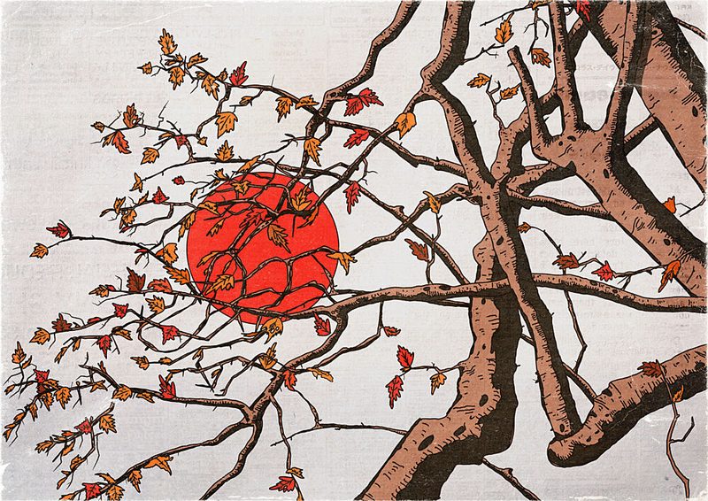 Autumn Sun Branches art print by Nicholas for $57.95 CAD