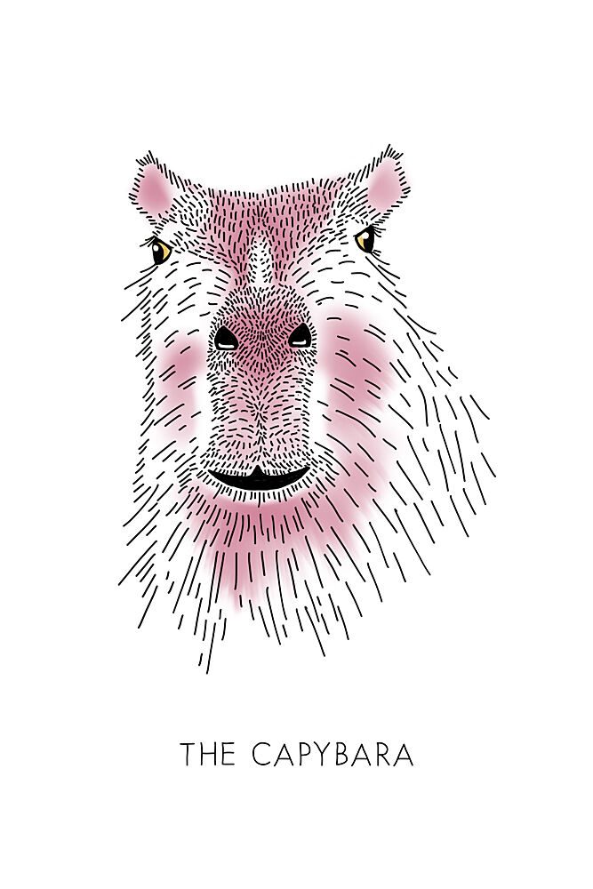 Friendly Capybara Portrait art print by Alexandra Weise for $57.95 CAD