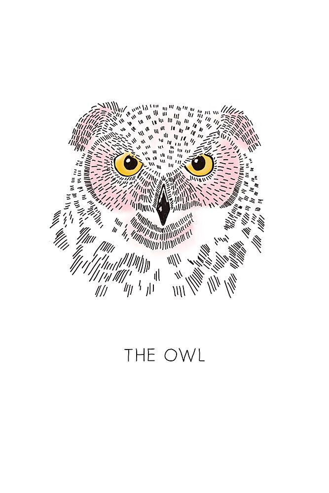 Pink Owl Sketch art print by Alexandra Weise for $57.95 CAD