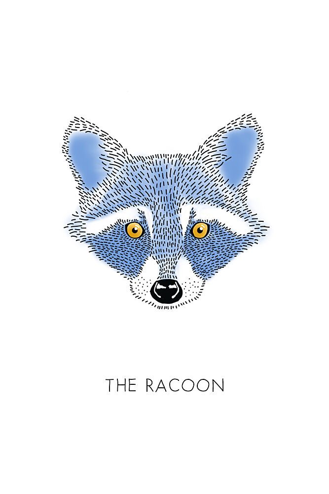 Whimsical Raccoon Face art print by Alexandra Weise for $57.95 CAD
