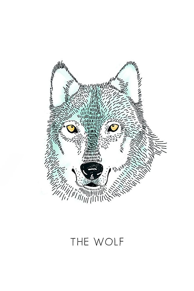 Wild Wolf Portrait art print by Alexandra Weise for $57.95 CAD