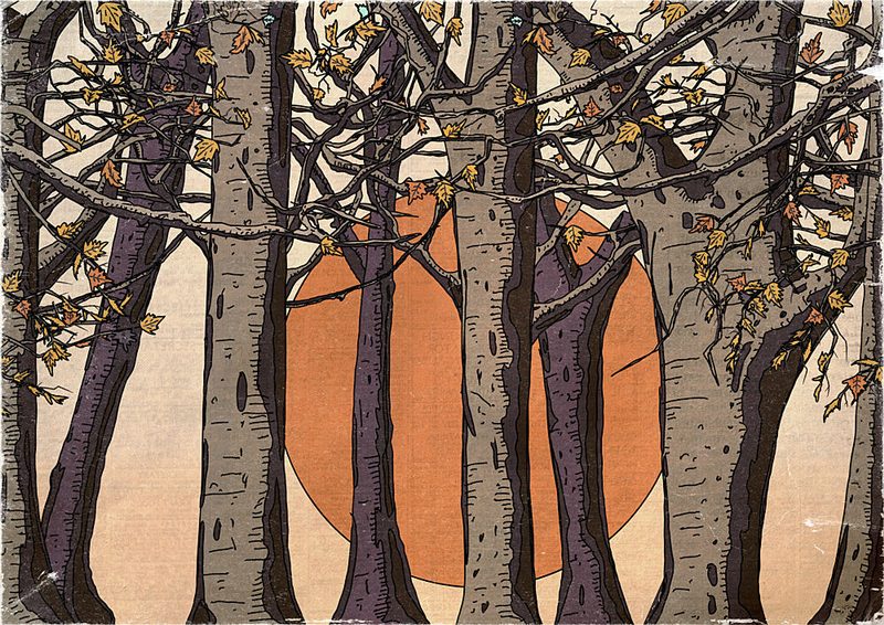 Autumn Forest Sun art print by Nicholas for $57.95 CAD