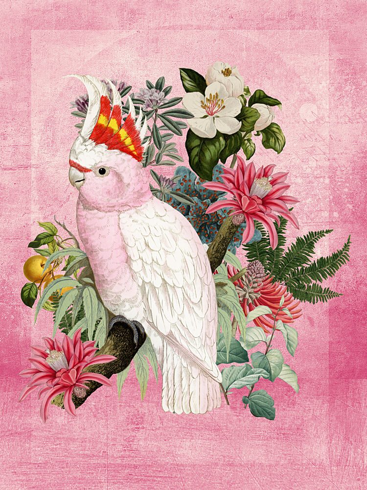 Pink Cockatoo Tropical Bloom art print by Marja van den Hurk for $57.95 CAD