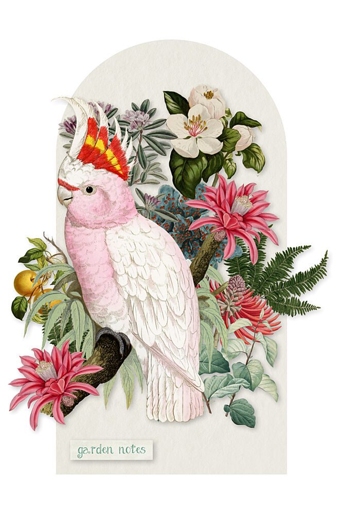 Pink Cockatoo Botanical Garden art print by Marja van den Hurk for $57.95 CAD