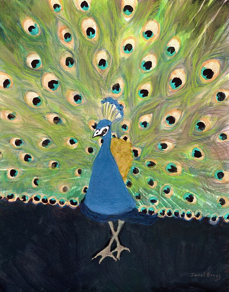 Fanned Peacock Display art print by Janel Bragg for $57.95 CAD