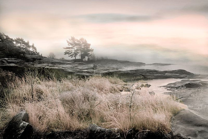 Misty Winter Shore art print by Christina Sillen for $57.95 CAD