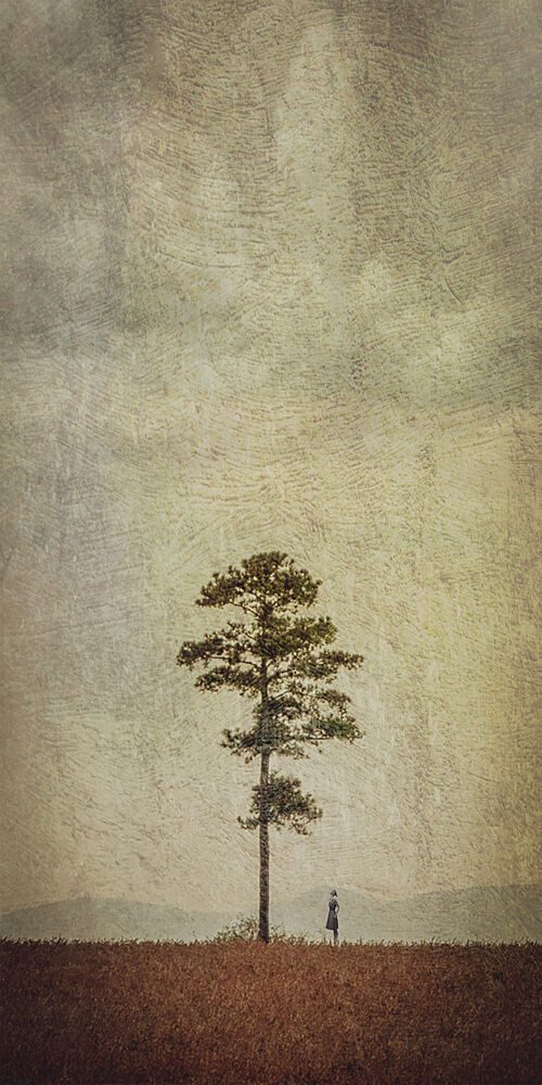 Solitary Tree Field art print by Evgenii Novichikhin for $57.95 CAD