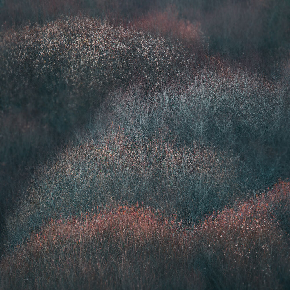 Muted Woodland Layers art print by Dawn X W for $57.95 CAD