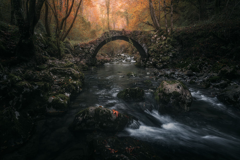 Autumn Forest Bridge art print by Thomas de Franzoni for $57.95 CAD