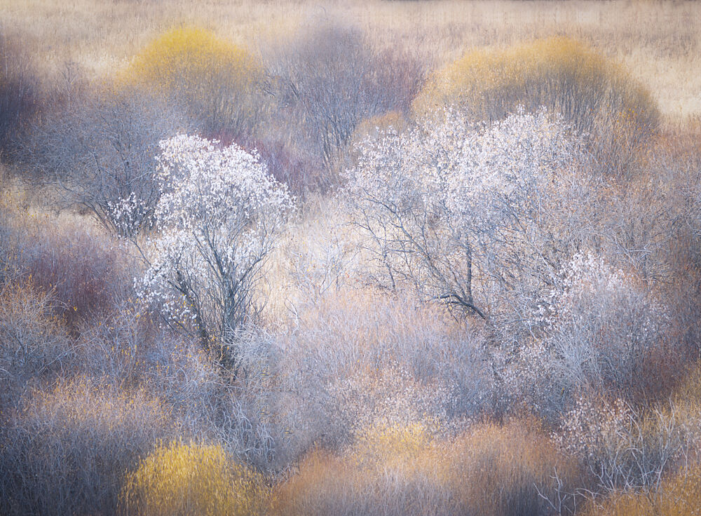 Ethereal Winter Landscape art print by Dawn X W for $57.95 CAD