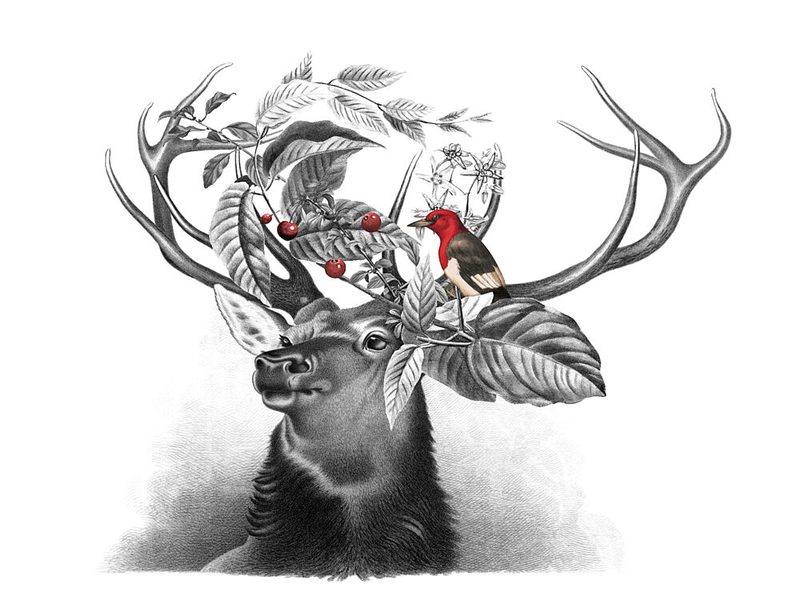 Wild Stag Red Bird art print by Marja van den Hurk for $57.95 CAD