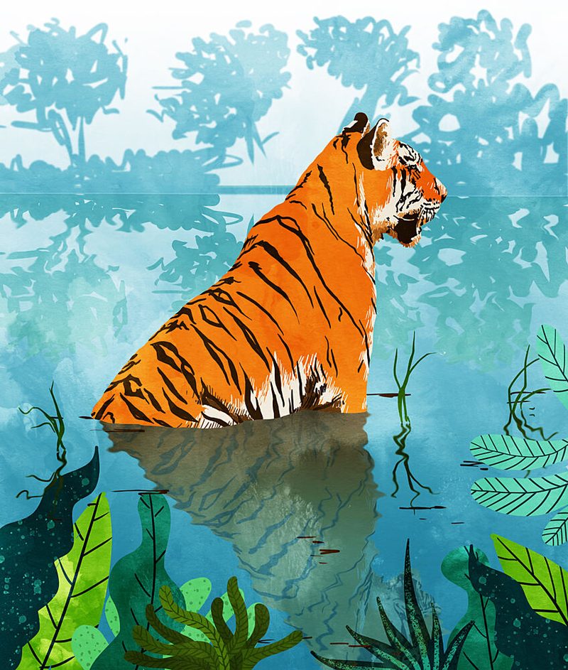 Wild Tiger Reflection art print by Uma Gokhale for $57.95 CAD