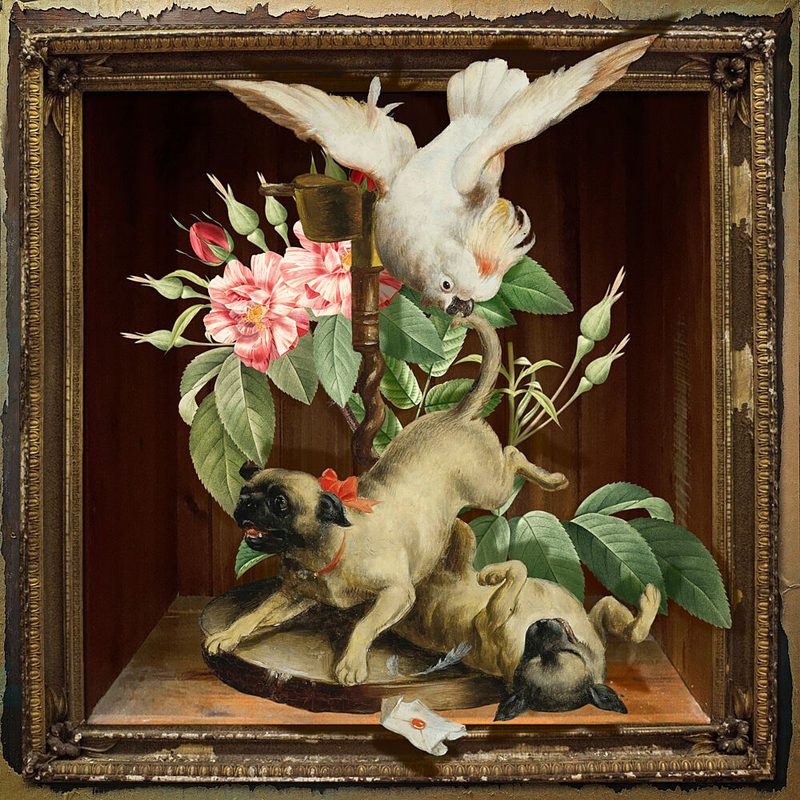 Playful Pugs and Cockatoo art print by Marja van den Hurk for $57.95 CAD