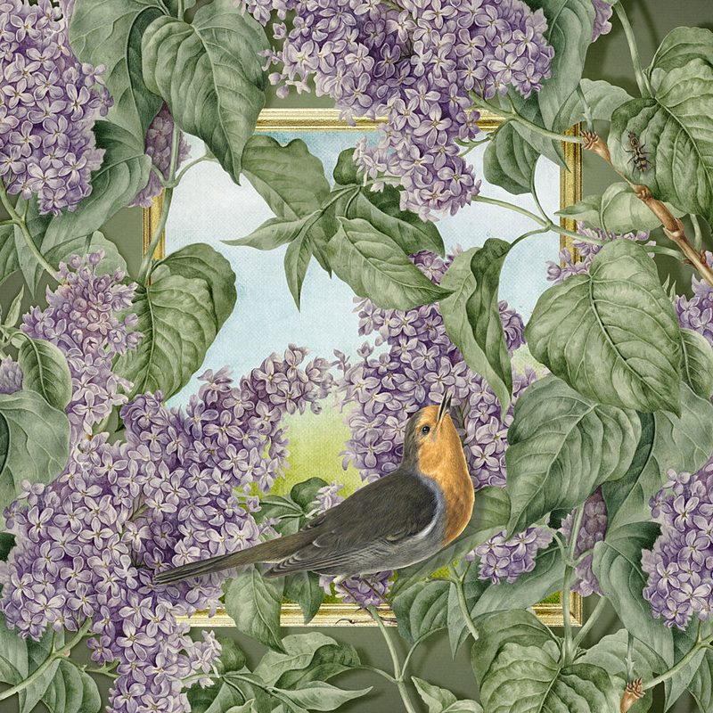 Spring Bird and Lilacs art print by Marja van den Hurk for $57.95 CAD