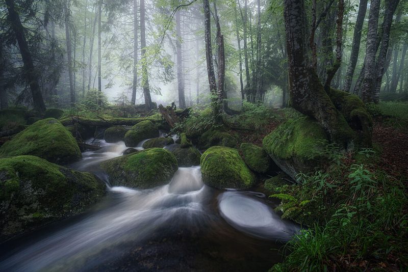 Misty Forest Stream art print by Alexander Alexandrov for $57.95 CAD