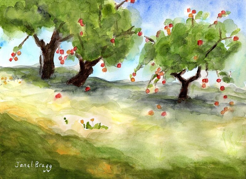 Sunny Apple Orchard art print by Janel Bragg for $57.95 CAD